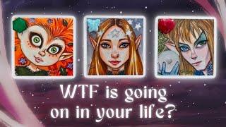 What is the TRUTH of Your Situation?️️ Pick a Card Timeless Tarot Reading