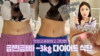 급찐급빠+폭식방지-3kg입소문 뱃살 다이어트 식단 | 샨토끼