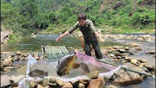 Simple way to trap fish using bamboo and net. Unexpected effectiveness | Bình - Building new life