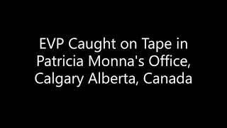 EVP Caught on Tape During a Psychic Reading with Patricia Monna