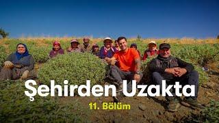 Şehirden Uzakta | Burdur | TRT Belgesel