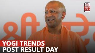 As Yogi Adityanath Trends After LS Election Results, A Look Back At His Electoral Journey