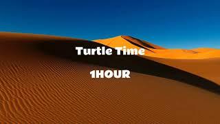 Turtle Time [1 HOUR]