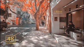 Late Autumn Strolling on Nanchang Road, one of the most romantic streets in Shanghai \4K