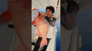 #fishing #صيد #fish #سمك #بحر #صيدالسمك #sharklife #اكسبلور #الصيد #ocean #trendingshorts #trending
