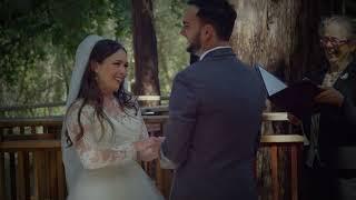 California redwood elopement