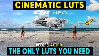 DJI NEO Cinematic LUTS - COLOUR GRADE IN SECONDS!