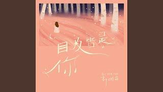 目及皆是你 (许愿版)