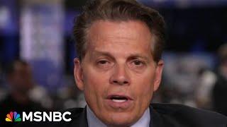 ‘He only cares about himself’: Anthony Scaramucci on why former Trump officials are backing Harris