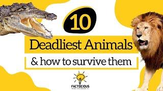 10 Deadliest Animals and How to Survive Them | Dangerous Situations and Survival Tips