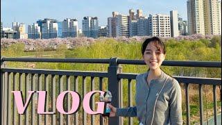 [Vlog] LG생활건강/화장품 회사 출근 브이로그, 자가격리, 재택근무, 맛집(오마카세,파주카페, 신호등 장작구이,라페름)