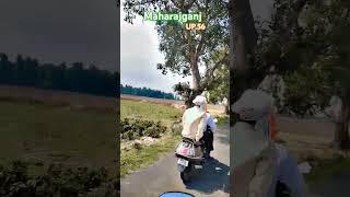 UP_56 Maharajganj