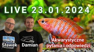 Akwarium biotopowe / Odpowiadamy na Wasze pytania / 23.01.24 /  #aquascapingtv