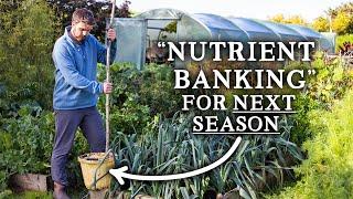 ESSENTIAL Autumn Tasks for Highly-Productive Gardens