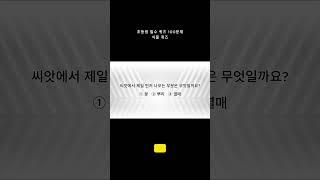 초등생 필수 퀴즈 5문제 \ 매일 상식 키우기 \ 영재로 키우기 \ 뇌건강 \ 지식퀴즈