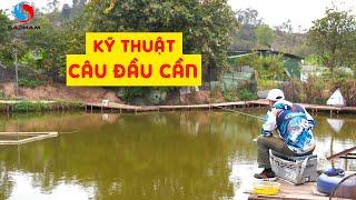 Kỹ thuật câu đầu cần, cách ra mồi chuẩn ổ