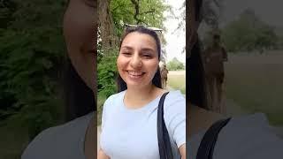 قانون جذب و راز کائنات