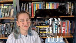 TBR Shelf Tour with a Void Demon