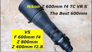 Nikon Z 600mm F4 TC. First Look FT Morten Hilmer. & Sample images.