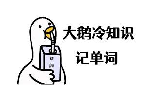 知识以一种无声的方式，进入了我的大脑