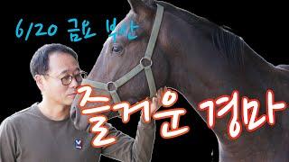 김호경마 6월 20일 금요일 부산 경마방송!