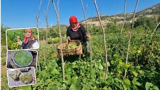 DİFRİZE TAZE FASÜLYE EN GÜZEL SAKLAMA YÖNTEMİ KIŞA NASIL SAKLANIR? | BU YÖNTEMLE SEVDİK |