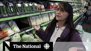 The reality behind food sensitivity tests | CBC Marketplace