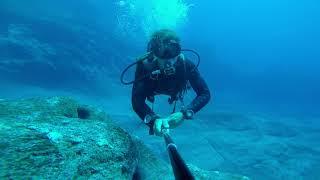 Punta de Teno Lighthouse, Amazing Dive!