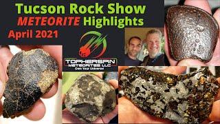 Buying Meteorites in Tucson 2021 Rock Show w/Friends- Pallasite Mars Iron Rare Meteorites