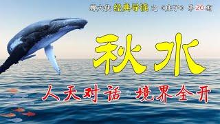 庄子经典名篇《秋水》：一场史诗级的“人天对话”，境界全开！