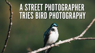 A Street Photographer Tries Bird Photography - 10 Lessons Learned!