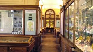 Vue par drone du Musée de Minéralogie MINES ParisTech