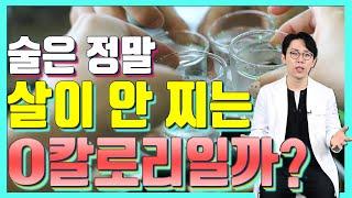 다이어트하는 동안 술을 마셔도 될까? - 세모다#38 술 칼로리, 다이어트 음주