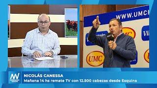 Nicolás Canessa - Mañana 14 hs remate TV con 12.500 cabezas desde Esquina -MV