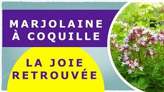 L'HE de marjolaine à coquille, la joie retrouvée