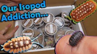 Unboxing $1,000 Worth of Isopods!