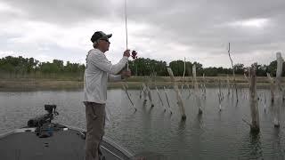 Standing timber largemouth...on a jerkbait? (bass fishing)