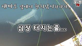 한치 낚시하다 '노인과 바다' 주인공 될뻔한 사연![Dried Cuttlefish, Blue Marlin, fishing,angler]