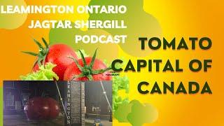 Tomato Capital of Canada- Leamington Ontario