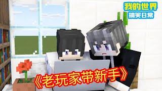 Minecraft：不同游戏老玩家带新手！MC玩家坑新手，原神玩家抢着带新手！【方块轩】