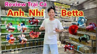 Tham Quan Trại Cá Của ANH NHÍ BETTA | Hiền Betta | Thiện Red | Thien Red | Betta Sales