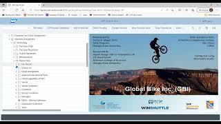 SAP logon and navigation