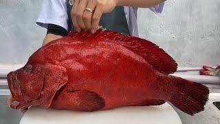 The best way to prepare red grouper, red grouper sashimi // best cooking