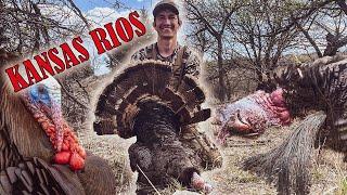 Turkey Hunting 2023: HUGE Kansas Long Beard!