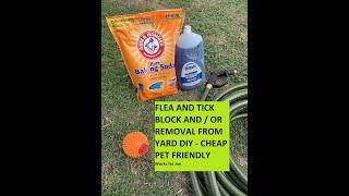 Flea and Tick In your yard Killer / Preventer DIY Cheap- works for me -CHECK SAFETY IN DESCRIPTION