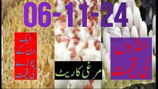 06-11-2024 broiler rate| Today egg rate |Today chicks price|Today poultry rate| today chicken rate