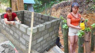 280 Day Create A Clean Vegetable Garden -/Grow Vegetable in Bamboo Tube,.../Video Timelapse