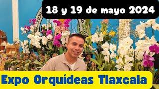 Expo Orquídeas Tlaxcala 2024