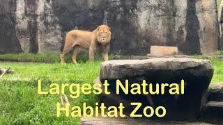 North Carolina Zoo Tour 2024 | North Carolina Zoo #trendingvideo #northcarolina #zoo