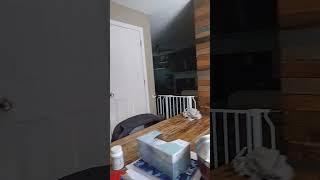 #loop